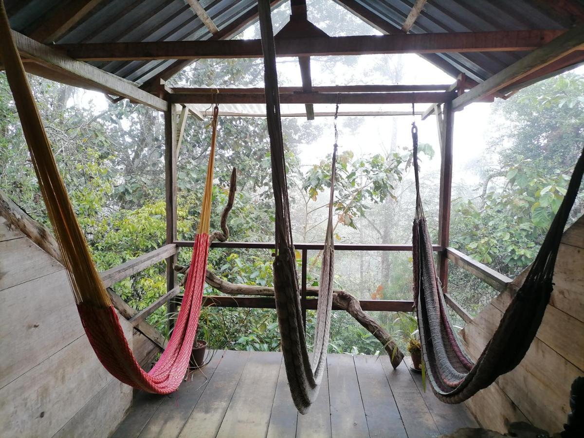 Paraiso Verde Chijou ภายนอก รูปภาพ