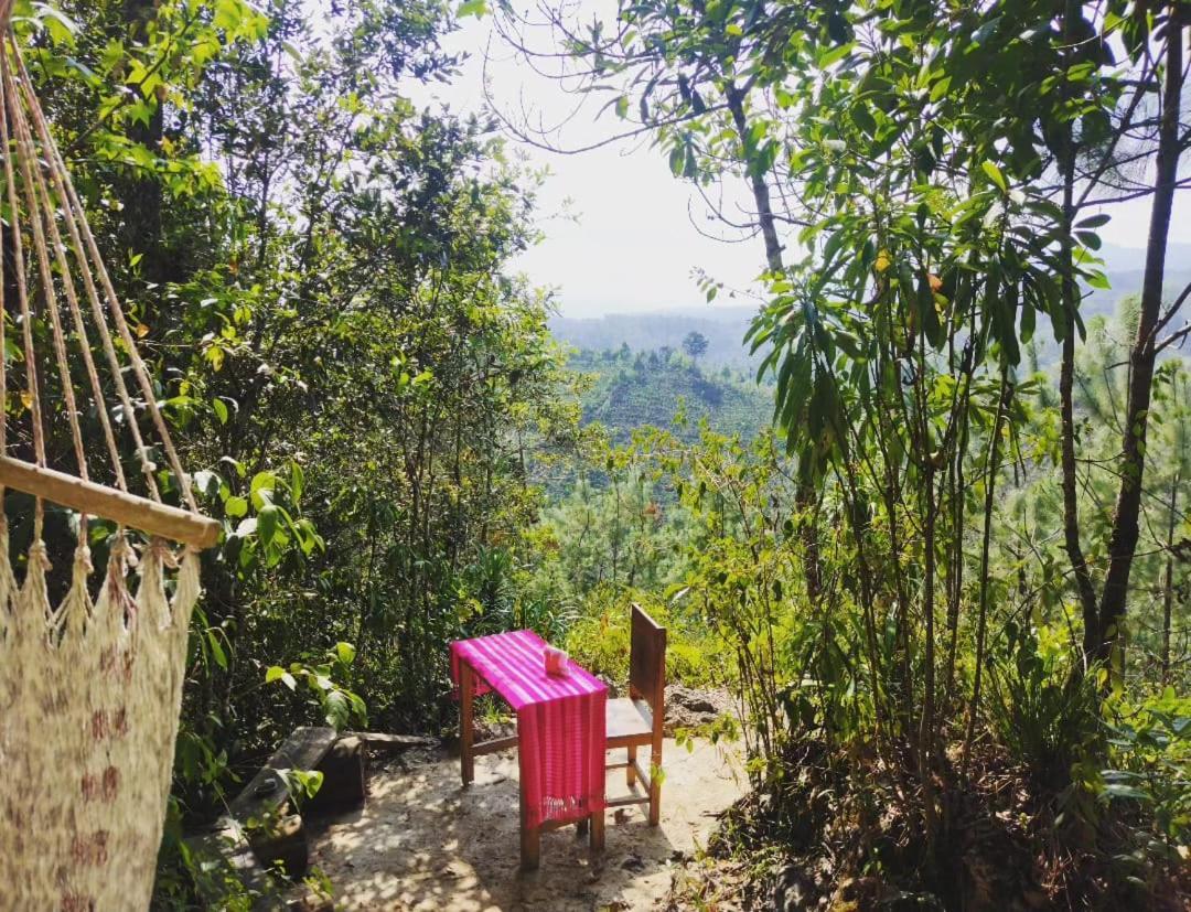 Paraiso Verde Chijou ภายนอก รูปภาพ
