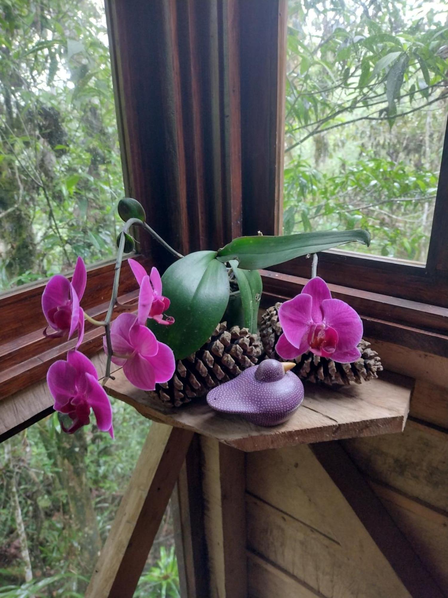 Paraiso Verde Chijou ภายนอก รูปภาพ