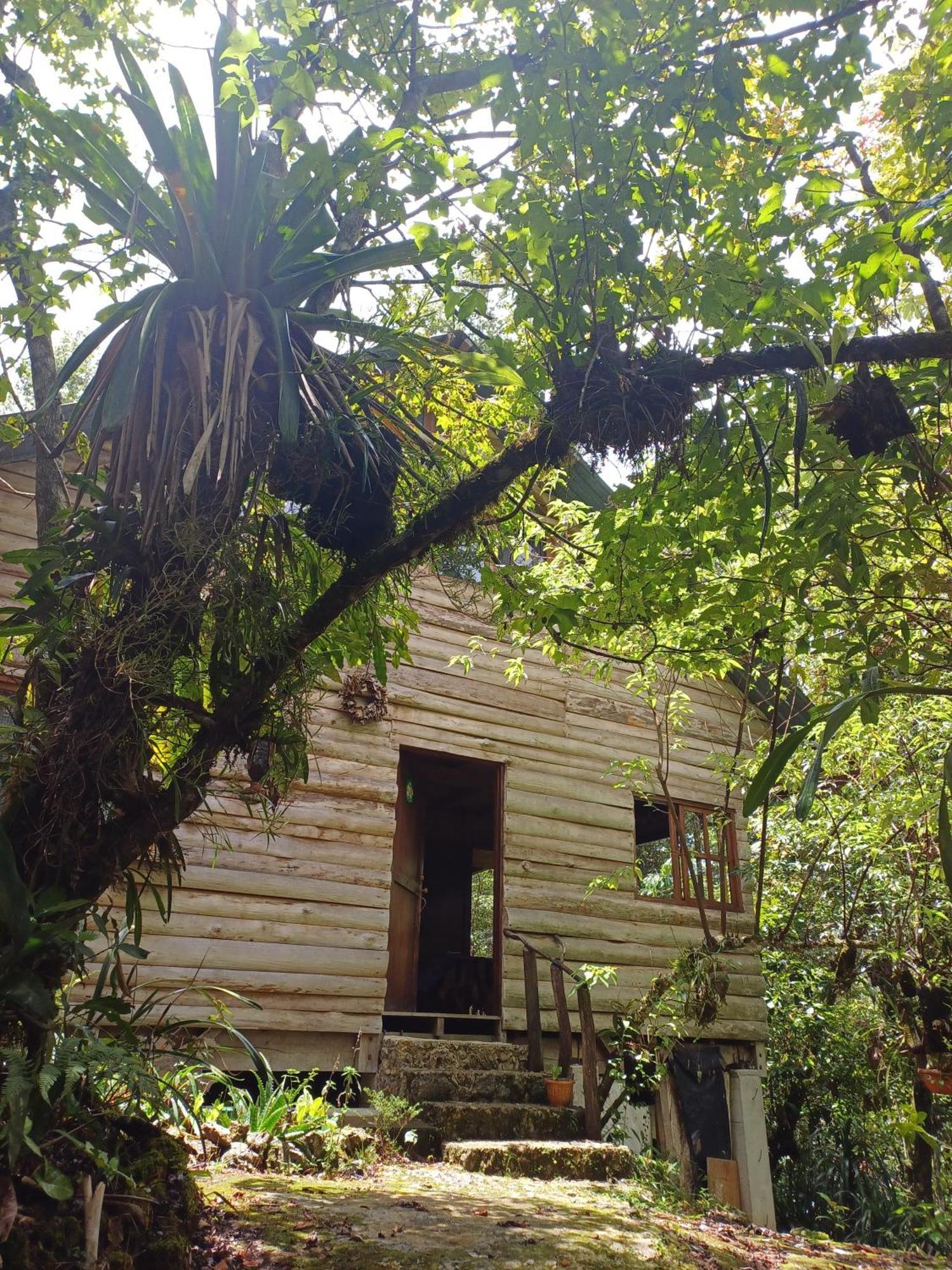 Paraiso Verde Chijou ภายนอก รูปภาพ