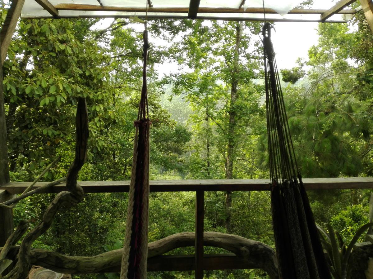 Paraiso Verde Chijou ภายนอก รูปภาพ