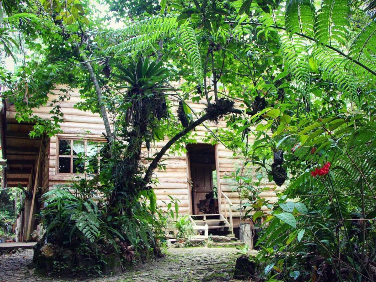 Paraiso Verde Chijou ภายนอก รูปภาพ