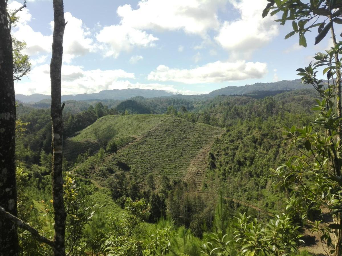 Paraiso Verde Chijou ภายนอก รูปภาพ